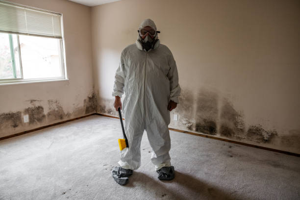 Best Post-Flood Mold Remediation in Blaine, WA